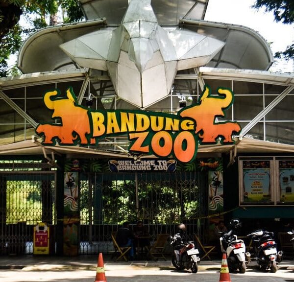 Libur Sekolah Makin Seru! Ajak Anak&hellip;